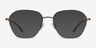 Lifetime Bronze MétalMontures de lunettes de vue d'EyeBuyDirect, Avec des Verres Teintés