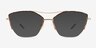 Aida Tortoise Shiny Gold MetalEyeglass Frames from EyeBuyDirect, with Tinted Lenses