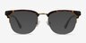 Genbu Tortoise AcetateEyeglass Frames from EyeBuyDirect, with Tinted Lenses