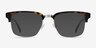 Phonic Tortoise Acetate-metalEyeglass Frames from EyeBuyDirect, with Tinted Lenses