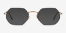 Ray-Ban RB6456 Black Gold MetalEyeglass Frames from EyeBuyDirect, with Tinted Lenses