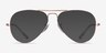 Ray-Ban Aviator Metal II Rose Gold MetalEyeglass Frames from EyeBuyDirect, with Tinted Lenses