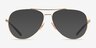 ARNETTE Wharf Gold MetalEyeglass Frames from EyeBuyDirect, with Tinted Lenses