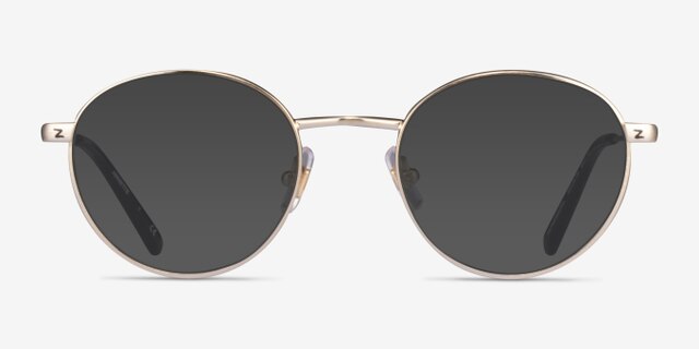 ARNETTE AN6132 The Professional Brushed Light Gold MetalEyeglass Frames from EyeBuyDirect, with Tinted Lenses