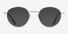 ARNETTE AN6132 The Professional Brushed Light Gold MetalEyeglass Frames from EyeBuyDirect, with Tinted Lenses