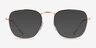 Ray-Ban RB3857V Frank Rose Gold MetalEyeglass Frames from EyeBuyDirect, with Tinted Lenses