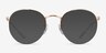 Ray-Ban RB3947V Round Gaze Rose Gold MetalEyeglass Frames from EyeBuyDirect, with Tinted Lenses