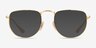 Ray-Ban RB3958V Elon Shiny Gold MetalEyeglass Frames from EyeBuyDirect, with Tinted Lenses