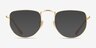Ray-Ban RB3958V Elon Gold MetalEyeglass Frames from EyeBuyDirect, with Tinted Lenses