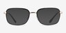 Ray-Ban RB6495 Black Gold MetalEyeglass Frames from EyeBuyDirect, with Tinted Lenses