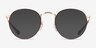 Ray-Ban RB3447V Round Gold Tortoise MetalEyeglass Frames from EyeBuyDirect, with Tinted Lenses