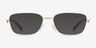 Coach HC5204 Satin Light Gold MetalEyeglass Frames from EyeBuyDirect, with Tinted Lenses