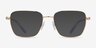 Swarovski SK1003 Doré MétalMontures de lunettes de vue d'EyeBuyDirect, Avec des Verres Teintés