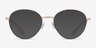 Swarovski SK1004 Pale Gold MétalMontures de lunettes de vue d'EyeBuyDirect, Avec des Verres Teintés
