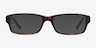 Ray-Ban RB5169 Tortoise AcetateEyeglass Frames from EyeBuyDirect, with Tinted Lenses