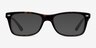 Ray-Ban RB5228 Tortoise AcetateEyeglass Frames from EyeBuyDirect, with Tinted Lenses