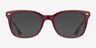 Ray-Ban RB5285 Burgundy AcetateEyeglass Frames from EyeBuyDirect, with Tinted Lenses