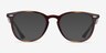 Ray-Ban RB7159 Tortoise PlasticEyeglass Frames from EyeBuyDirect, with Tinted Lenses