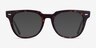 Ray-Ban Meteor Tortoise AcetateEyeglass Frames from EyeBuyDirect, with Tinted Lenses