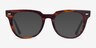 Ray-Ban Meteor Striped Tortoise AcetateEyeglass Frames from EyeBuyDirect, with Tinted Lenses