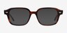 Ray-Ban RB5382 Striped Havana AcetateEyeglass Frames from EyeBuyDirect, with Tinted Lenses