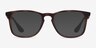 Ray-Ban RB7074 Tortoise PlasticEyeglass Frames from EyeBuyDirect, with Tinted Lenses