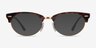 Ray-Ban Clubmaster Oval Tortoise & Gold AcétateMontures de lunettes de vue d'EyeBuyDirect, Avec des Verres Teintés