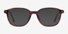 Ray-Ban RB5393 Leonard Brown Striped AcetateEyeglass Frames from EyeBuyDirect, with Tinted Lenses