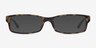 Ray-Ban RB5114 Tortoise AcetateEyeglass Frames from EyeBuyDirect, with Tinted Lenses