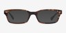 Ray-Ban RB5150 Tortoise AcetateEyeglass Frames from EyeBuyDirect, with Tinted Lenses