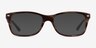 Ray-Ban RB5228 Brown Striped AcetateEyeglass Frames from EyeBuyDirect, with Tinted Lenses