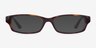 Ray-Ban RB5272 Tortoise AcetateEyeglass Frames from EyeBuyDirect, with Tinted Lenses