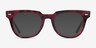Ray-Ban Meteor Red Tortoise AcetateEyeglass Frames from EyeBuyDirect, with Tinted Lenses