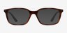 Ray-Ban RB7176 Tortoise PlasticEyeglass Frames from EyeBuyDirect, with Tinted Lenses