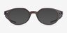 Oakley Bolster Brown MetalEyeglass Frames from EyeBuyDirect, with Tinted Lenses