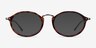 Ray-Ban RB2547V Tortoise Gunmetal AcetateEyeglass Frames from EyeBuyDirect, with Tinted Lenses