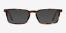 Ray-Ban RB5372 Tortoise AcetateEyeglass Frames from EyeBuyDirect, with Tinted Lenses