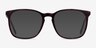 Ray-Ban RB5387 Tortoise AcetateEyeglass Frames from EyeBuyDirect, with Tinted Lenses