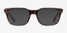Ray-Ban RB5391 Tortoise AcetateEyeglass Frames from EyeBuyDirect, with Tinted Lenses
