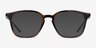 Ray-Ban RB7185 Tortoise PlasticEyeglass Frames from EyeBuyDirect, with Tinted Lenses