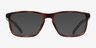 ARNETTE Cocoon Matte Tortoise PlasticEyeglass Frames from EyeBuyDirect, with Tinted Lenses