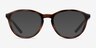 ARNETTE Scroopy Dark Tortoise PlasticEyeglass Frames from EyeBuyDirect, with Tinted Lenses