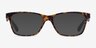 Vogue Eyewear VO2787 Tortoise AcetateEyeglass Frames from EyeBuyDirect, with Tinted Lenses