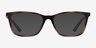 Vogue Eyewear VO5224 Tortoise PlasticEyeglass Frames from EyeBuyDirect, with Tinted Lenses