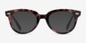 Ray-Ban RB2199V Orion Pink Tortoise AcetateEyeglass Frames from EyeBuyDirect, with Tinted Lenses