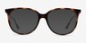 Ray-Ban RB4378V Tortoise PlasticEyeglass Frames from EyeBuyDirect, with Tinted Lenses
