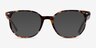 Ray-Ban RB5397 Elliot Brown Gray Tortoise AcetateEyeglass Frames from EyeBuyDirect, with Tinted Lenses