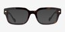 Vogue Eyewear VO5491 Dark Tortoise AcetateEyeglass Frames from EyeBuyDirect, with Tinted Lenses