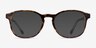 Ray-Ban RB5417 Transparent Tortoise AcetateEyeglass Frames from EyeBuyDirect, with Tinted Lenses