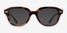 Ray-Ban RB7215 Erik Striped Tortoise PlasticEyeglass Frames from EyeBuyDirect, with Tinted Lenses